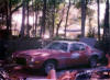 Doing Paint & Body work 1977