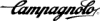 campagnolo.gif (1140 bytes)