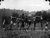 19SomeOfTroop3-1917.jpg (398056 bytes)
