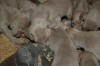 012809_002.jpg (311219 bytes)