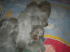 10 Days Old