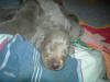 10 Days old