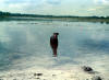 Rex in Buck Lake 1988